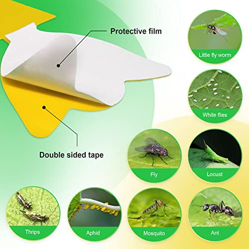 72 Pcs Combo Sticky Traps for Fruit Fly, Whitefly, Fungus Gnat, Mosquito and Bug, Yellow Sticky Insect Catcher Traps for Indoor/Outdoor/Kitchen, Extremely Sticky Fly Trap, Non-Toxic