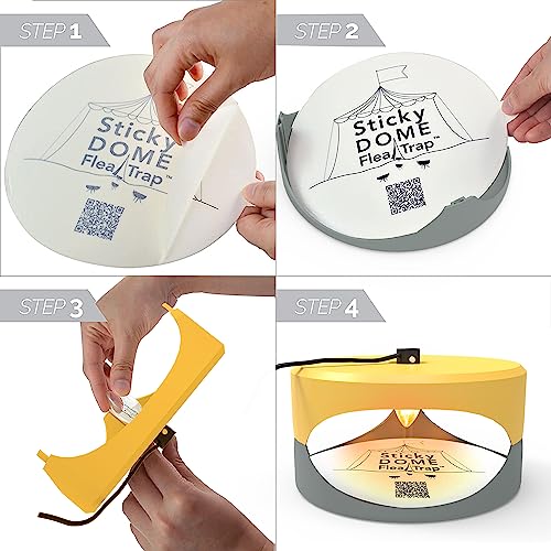 Yellow and LightGray Gray ASPECTEK - Trapest Sticky Dome Flea Bed Bug Trap with 2 Glue Discs. Odorless Cleaner and Flea Killer Trap Pad (Flea Trap)