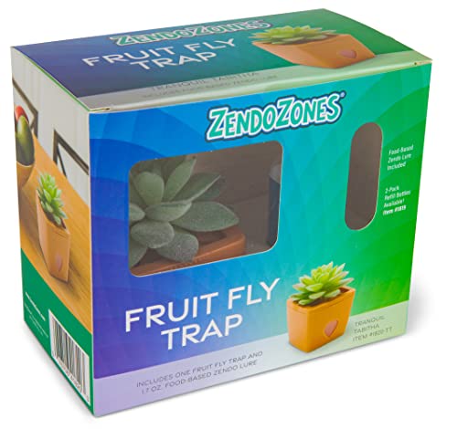 ZendoZones? Fruit Fly Trap Tranquil Tabitha, Terra Cotta Base