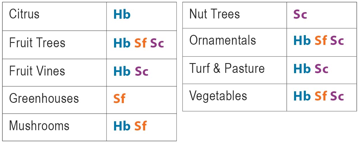 NaturesGoodGuys Beneficial Nematodes Triple Blend Pack HB+SC+SF - General Biological Pest Control (15 Million)