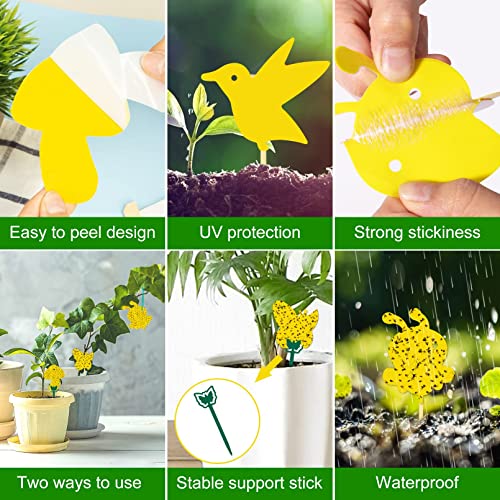 120 Pack Sticky Trap Fruit Fly Killer Indoor, Fungus Gnat Trap for House Plants, Yellow Sticky Traps for Plants Insects Bug