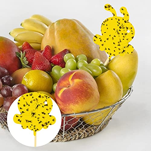 120 Pack Sticky Trap Fruit Fly Killer Indoor, Fungus Gnat Trap for House Plants, Yellow Sticky Traps for Plants Insects Bug