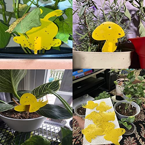 120 Pack Sticky Trap Fruit Fly Killer Indoor, Fungus Gnat Trap for House Plants, Yellow Sticky Traps for Plants Insects Bug