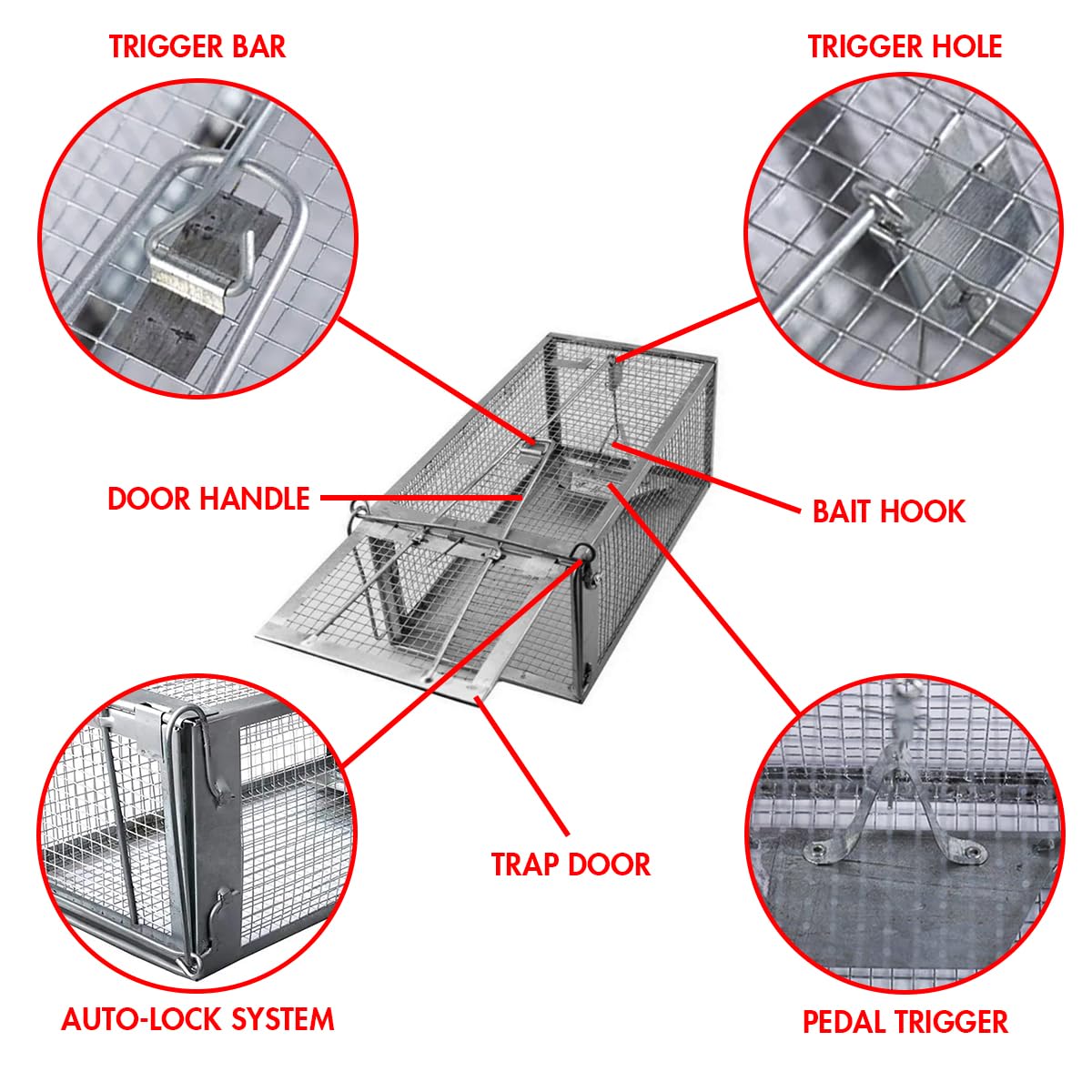 Chipmunk Trap -2 Pack, Squirell and Rat Trap Cages That Works, Humane Mouse Trap for Home | Catch and Release | Reusable and Durable | No Kill Animal Trap | for Inside Home and Outdoor Use