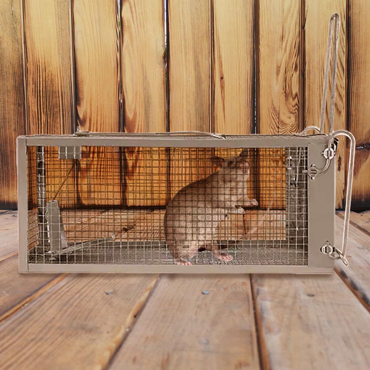 Chipmunk Trap -2 Pack, Squirell and Rat Trap Cages That Works, Humane Mouse Trap for Home | Catch and Release | Reusable and Durable | No Kill Animal Trap | for Inside Home and Outdoor Use