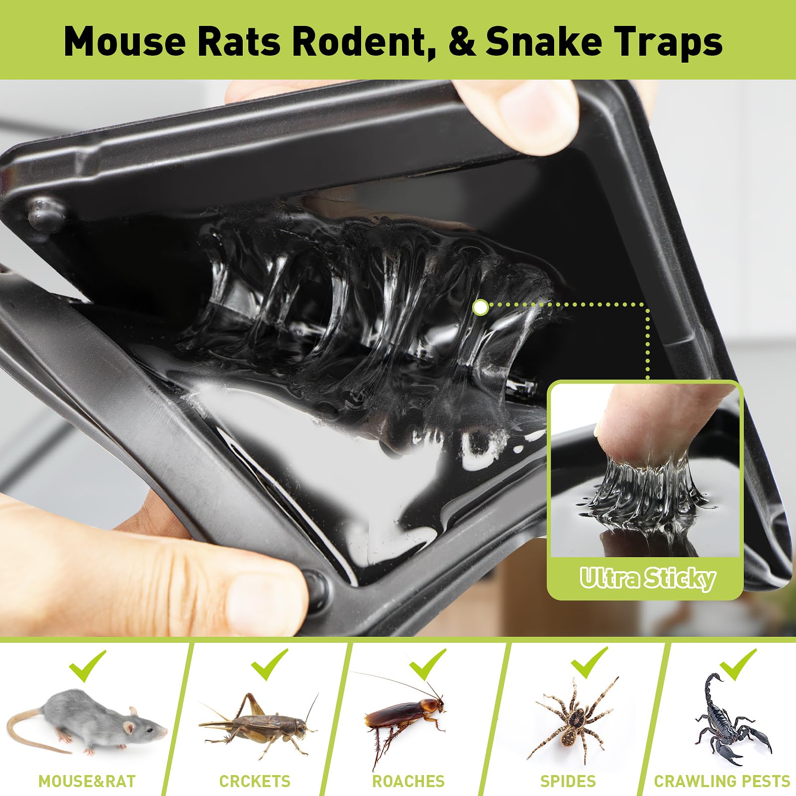 PELRAYT Super Glue Mouse Traps Indoor, Rat Trap 12pk, Glue Traps for Mice and Rats : Super Heavy-Duty, Larger Sticky Traps for Mouse & Snakes - Non-Toxic, Safe for Children & Pets, Easy to Set
