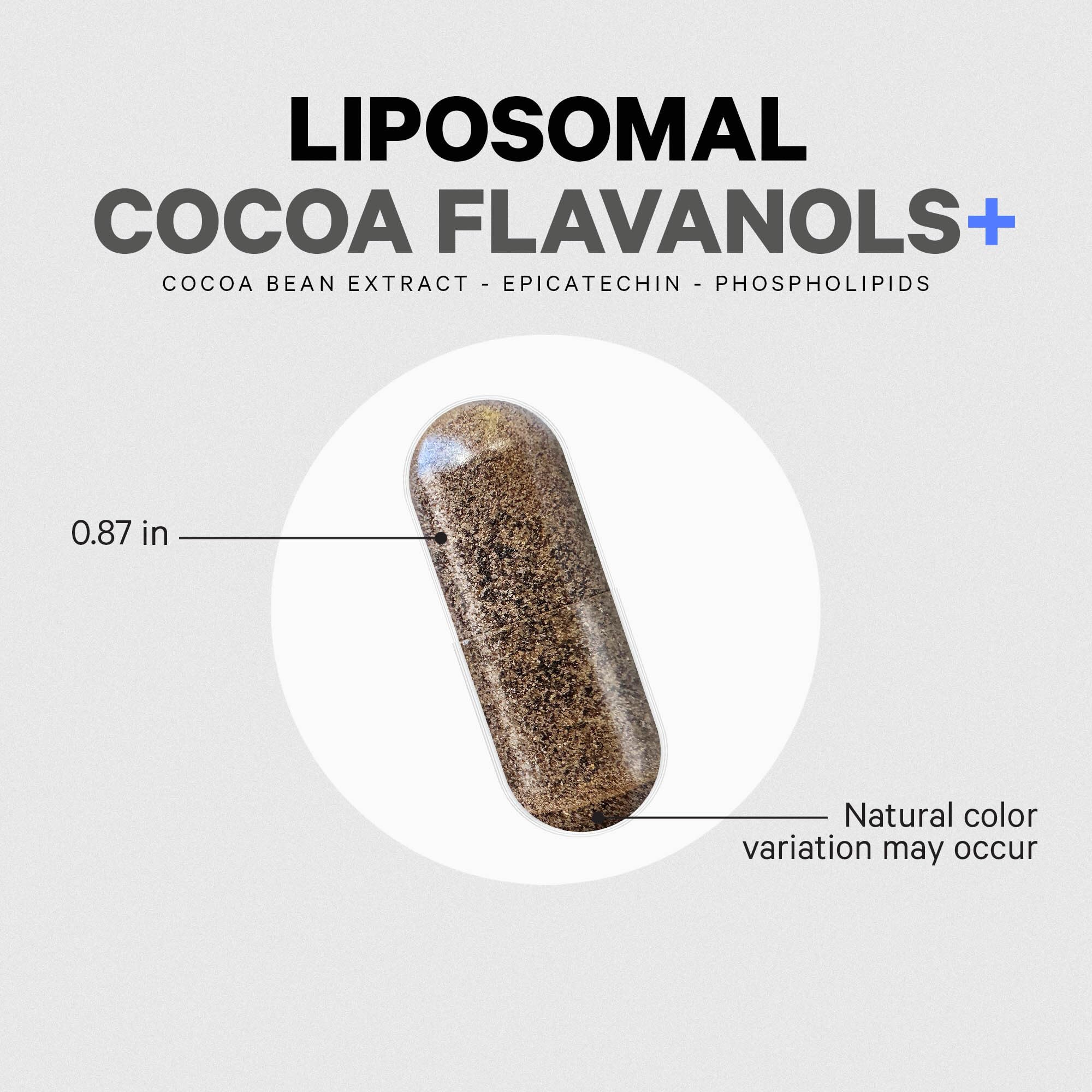 Codeage Liposomal Cocoa Flavanols Supplement - Cocoa Flavanols - Epicatechin Flavonoid - CocoHeart High Flavanol Formula - Cocoa Beans Antioxidant & Heart Health Support - Vegan, Non-GMO - 90 Capsules