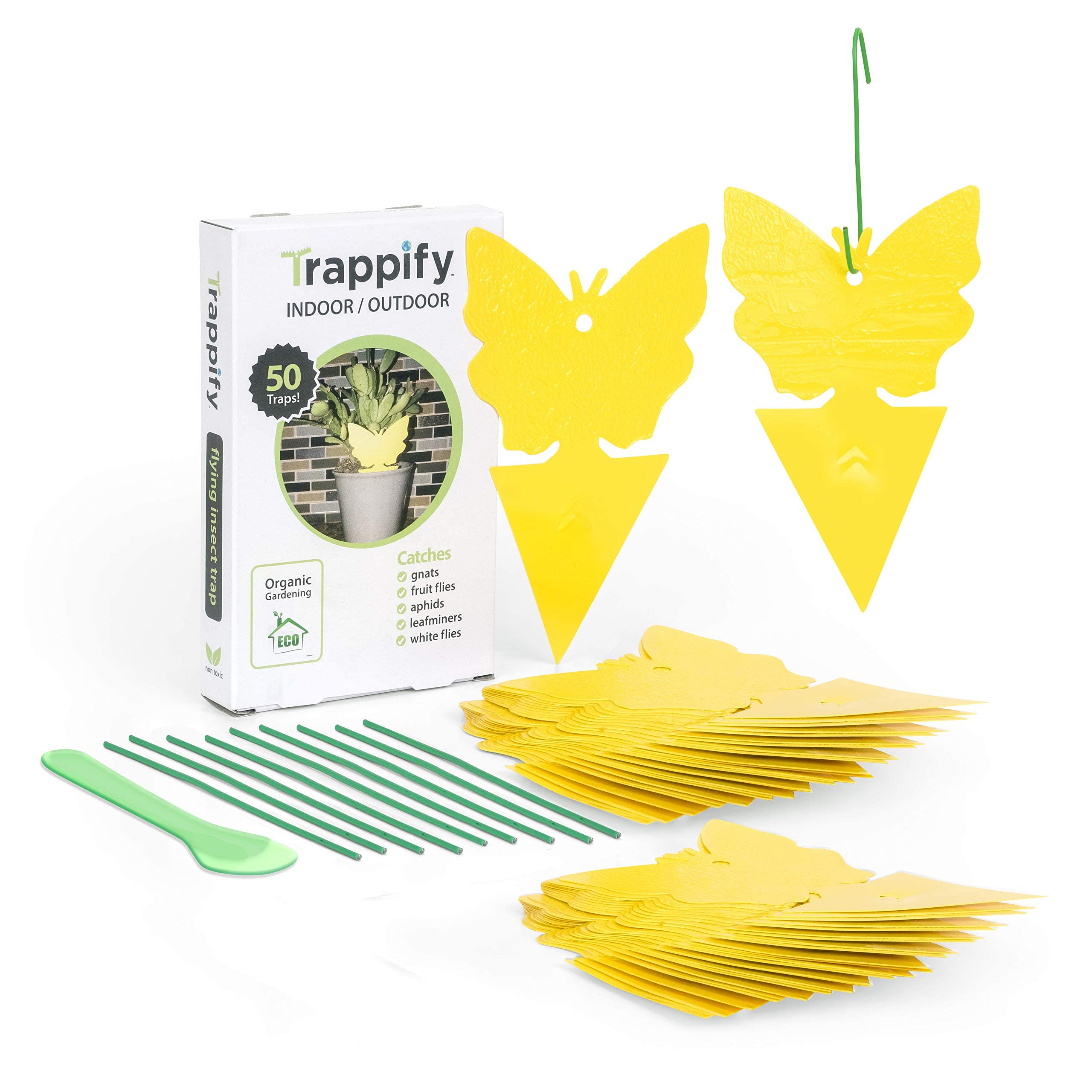 Trappify Sticky Gnat Traps for House Indoor - Yellow Fruit Fly Traps for Indoors/Outdoor Plant - Insect Catcher White Flies, Mosquitos, Fungus Gnat Trap, Flying Insects - Disposable Glue Trapper (50)