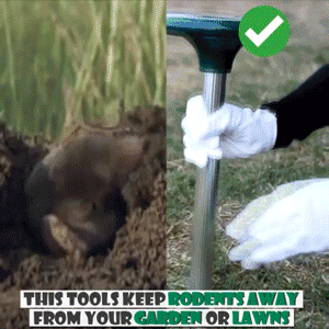 Solar Powered Ultrasonic Gopher/Rodent/Vole Repellent