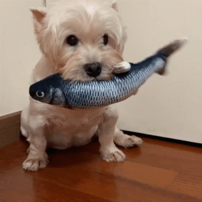USB Charging Simulation Fish Cat Toy