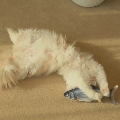 USB Charging Simulation Fish Cat Toy