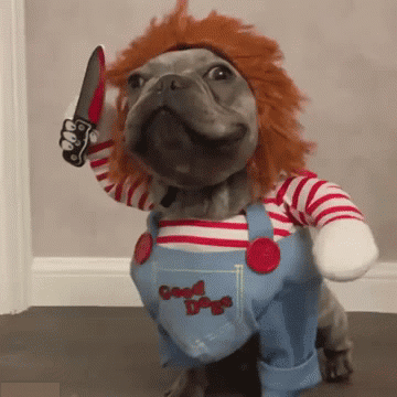 2020 Dog & Cat Deadly Chucky Doll Costume Pet Halloween Costume