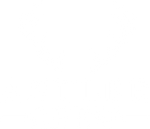 Antler Chew