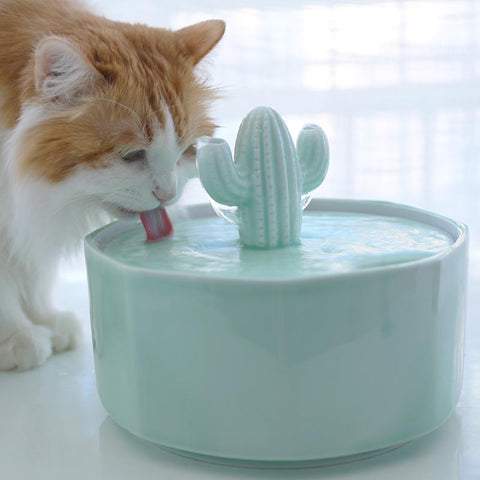 Cactus Automatic Power Off USB Drinking Fountain