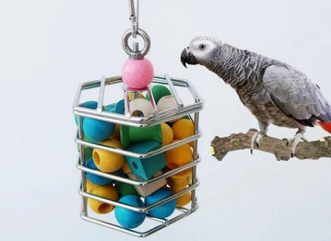 bird toy