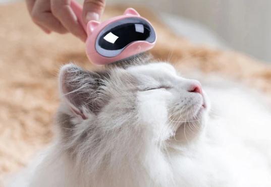 cat grooming tool