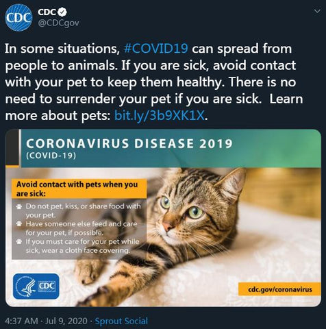 CDC Confirms Pets Can Get COVID-19