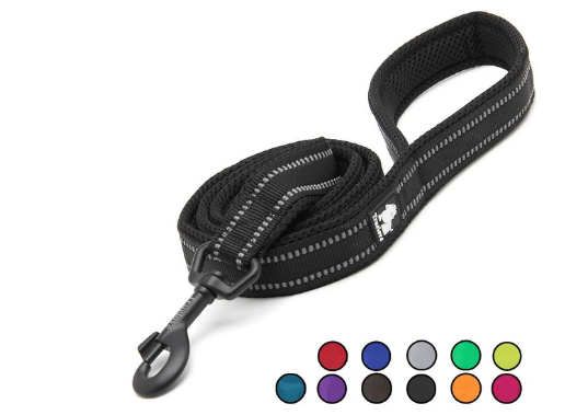 dog leash