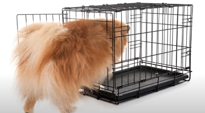 dog crate