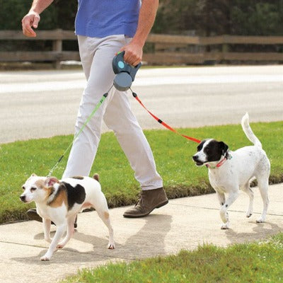 dog walk on leash