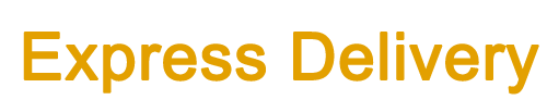 Express Delivery Service