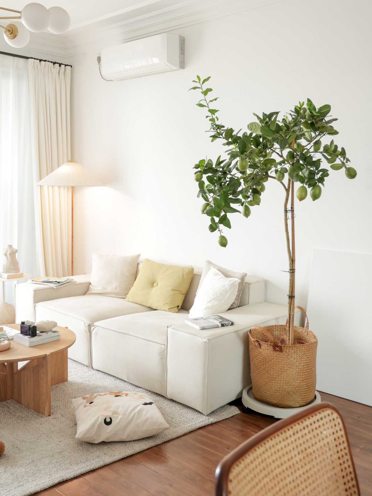 Home Decor Items & Ideas That Are Pratical And Pretty