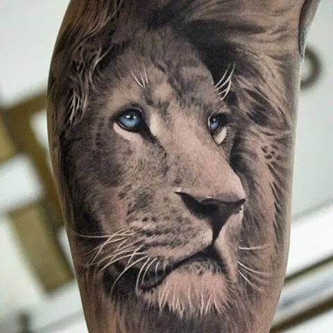 Lion Tattoo With Blue Eyes|Hawink Tattoo