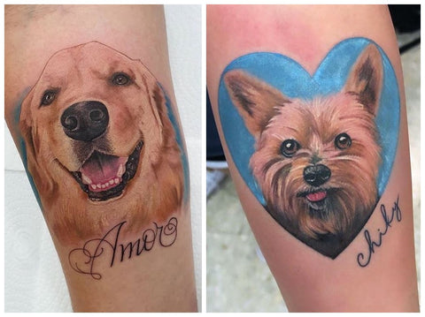 Celebs Who Got Tribute Tattoos for Their Pets Chris Evans More