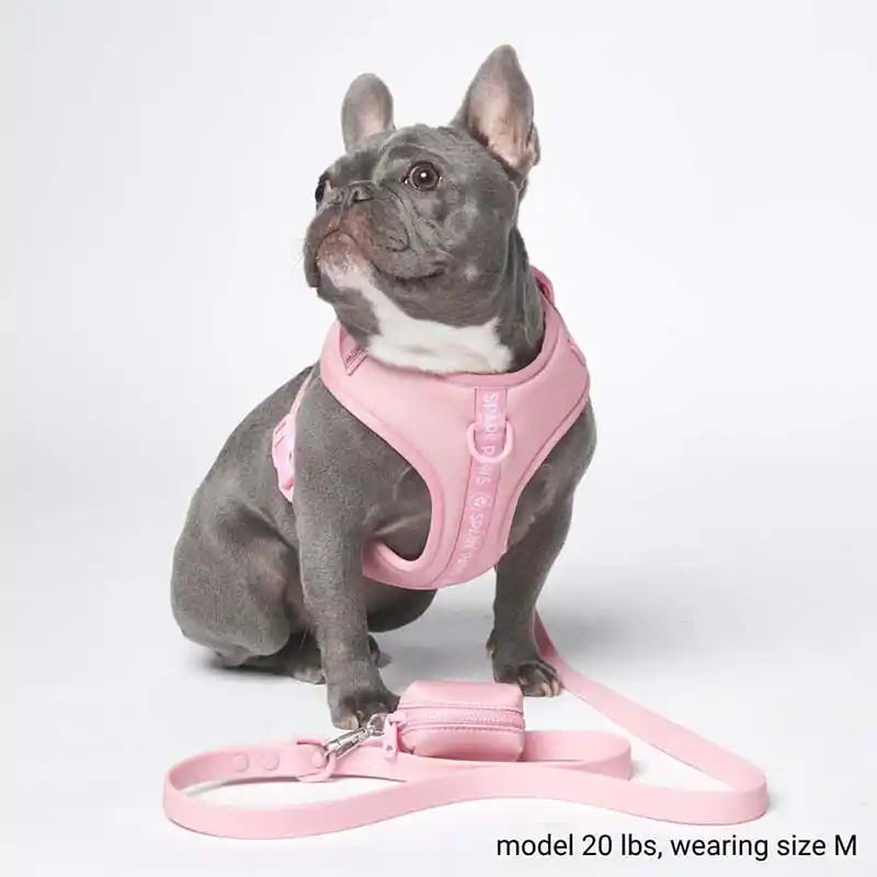 Athleisure Cushioned Dog Harness