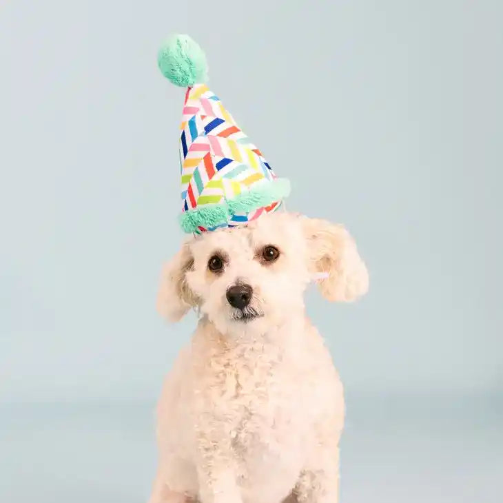 Birthday Hat Plush Dog Toy