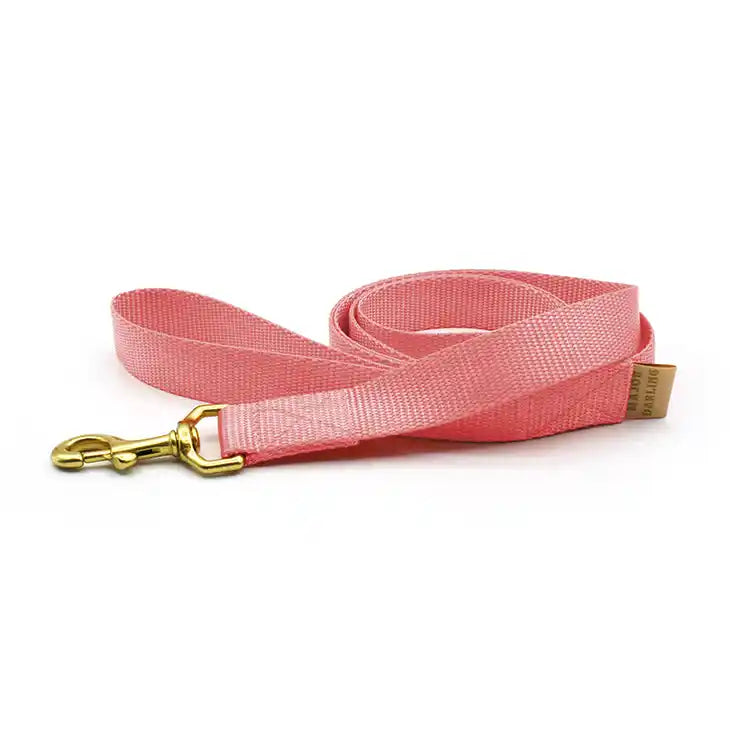 Pink Dog Leash
