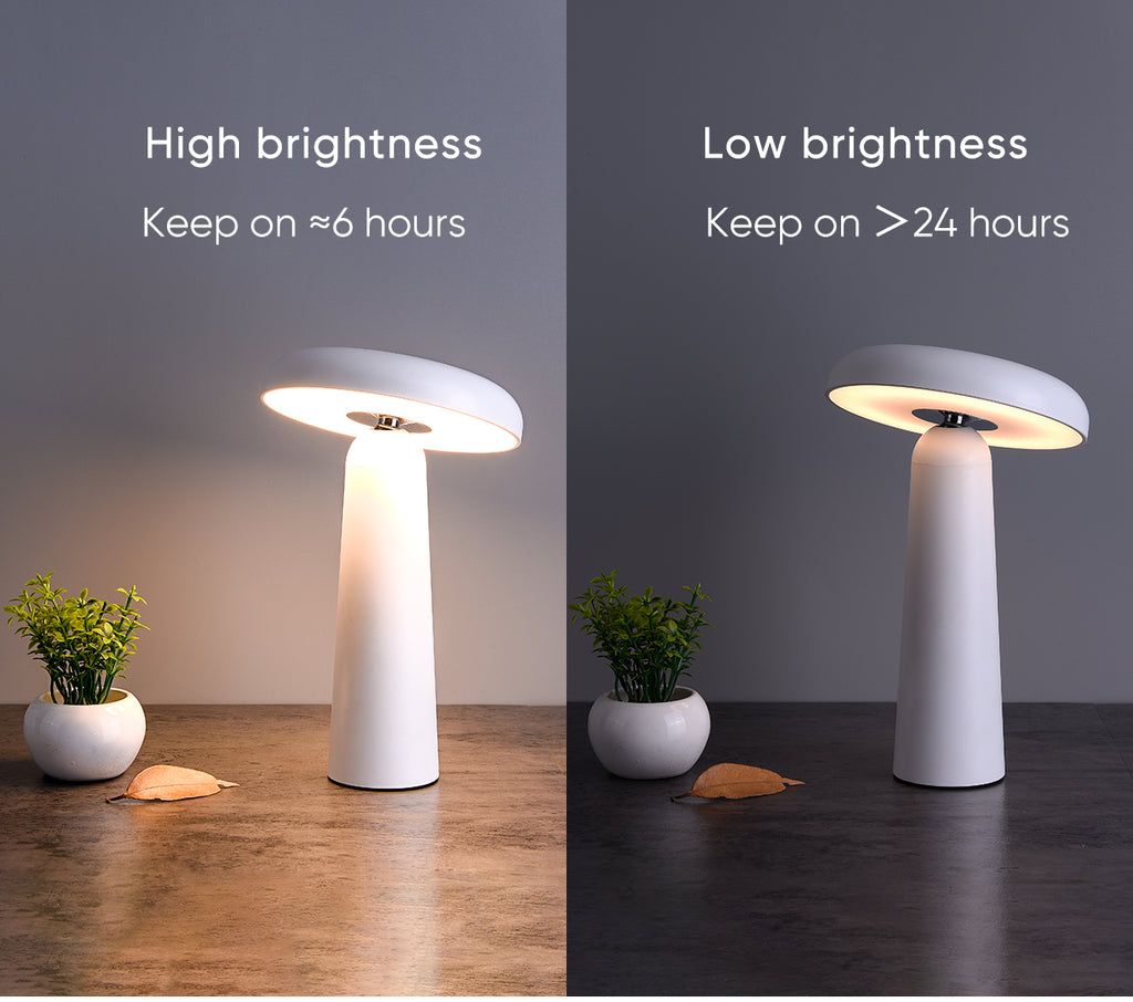 Desk Lamp Touch Control Rechargeable Battery LED Bulbs