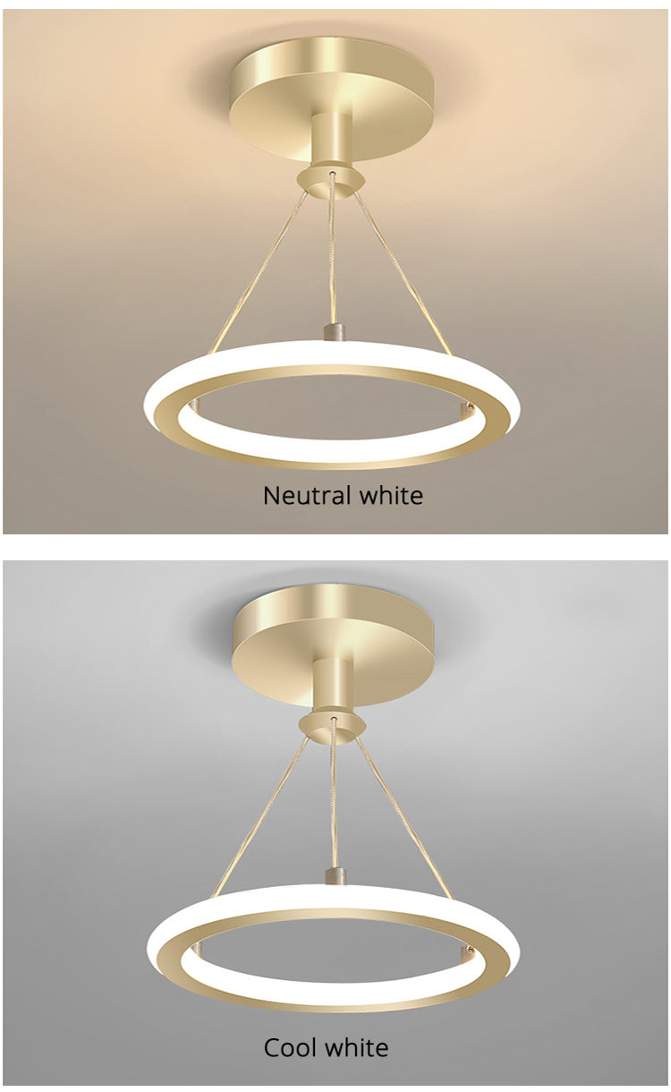 Modern Ceiling Light Loop LED In Circle Flush Mount Remote Control