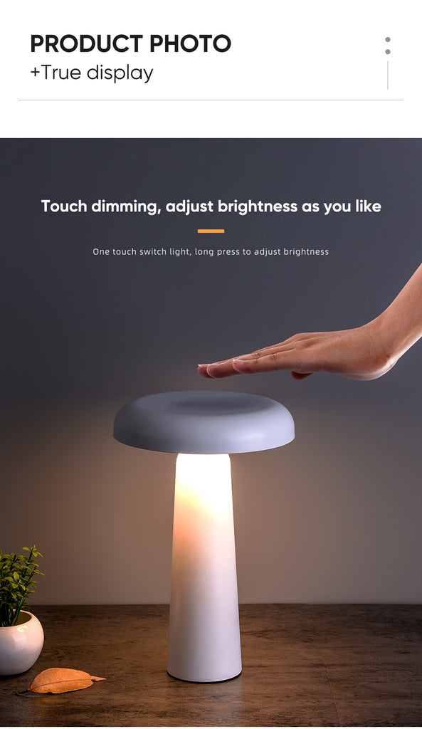 Desk Lamp Touch Control Rechargeable Battery LED Bulbs