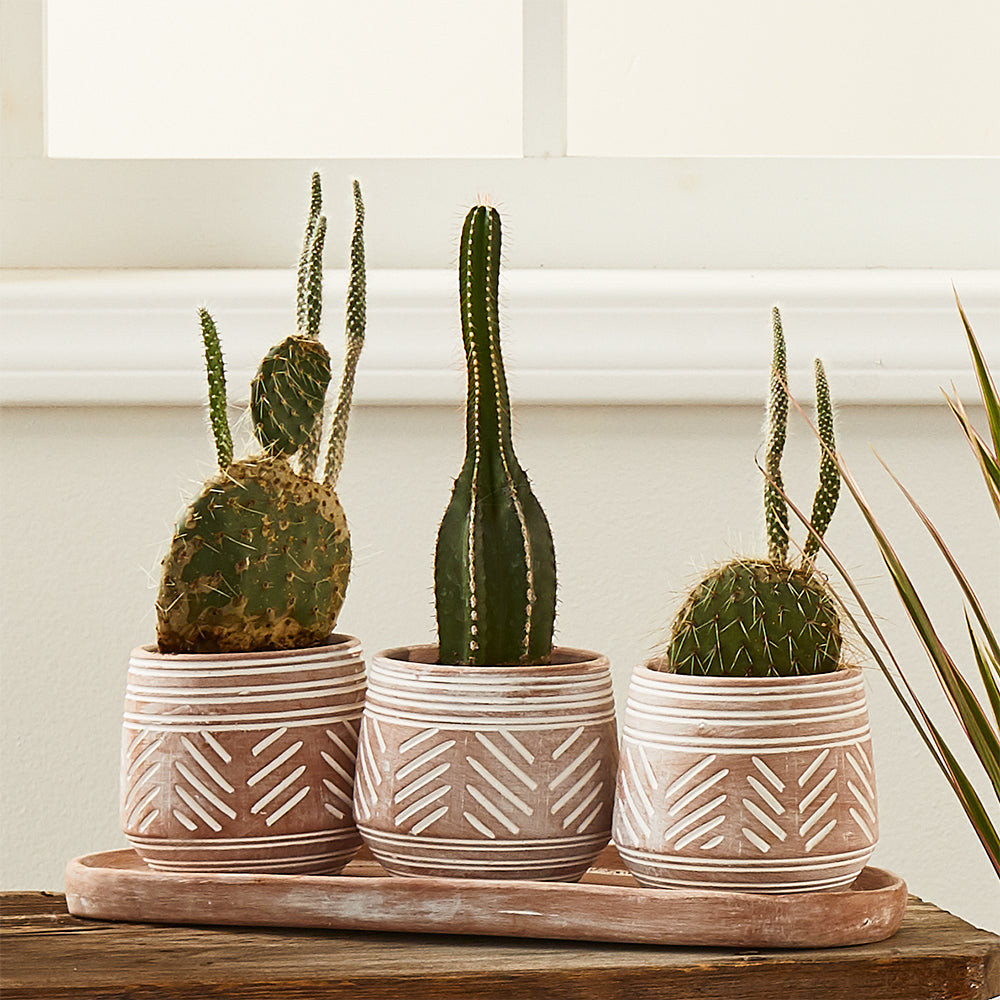 Novo Clay Planters