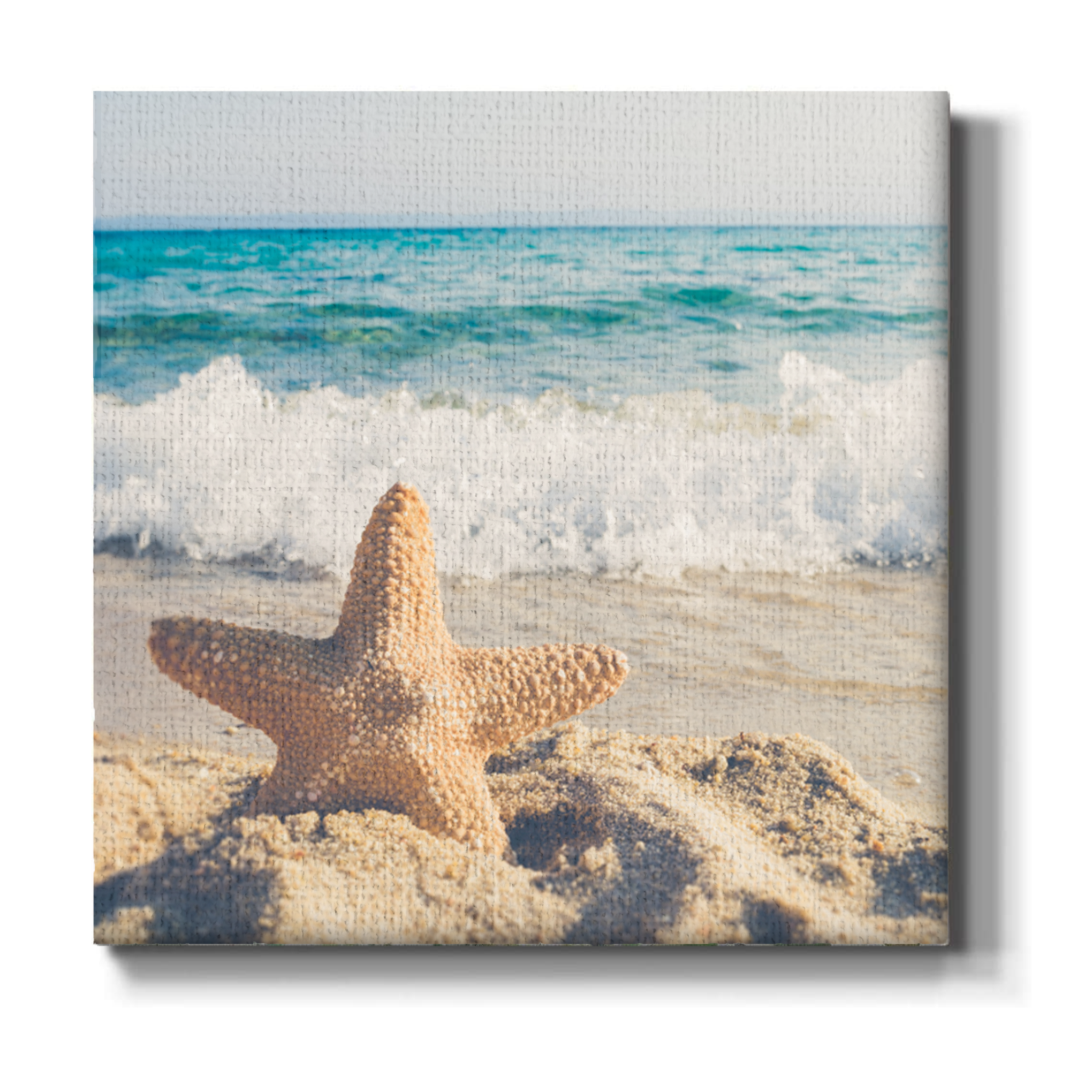 Star Beach Wall Canvas 1 Piece