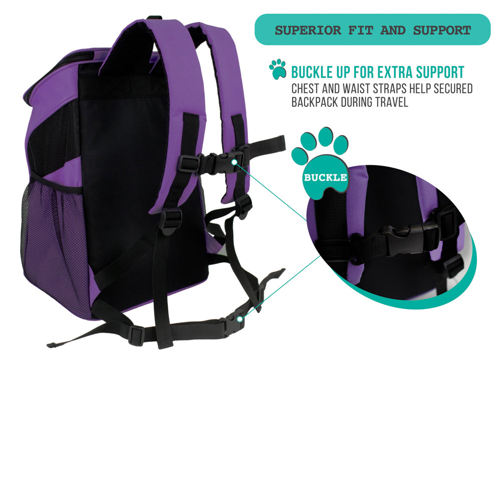 Classic 1-Way Entry Pet Carrier Backpack