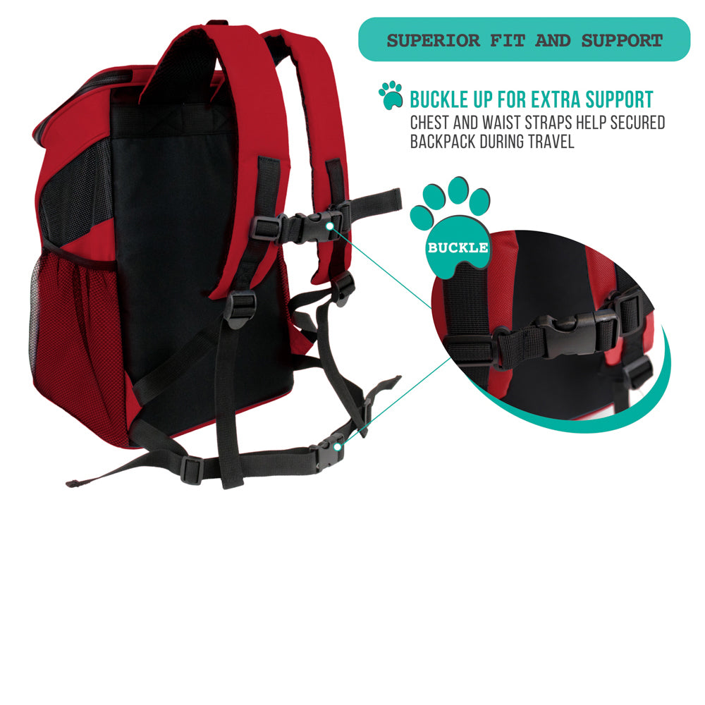 Classic 1-Way Entry Pet Carrier Backpack