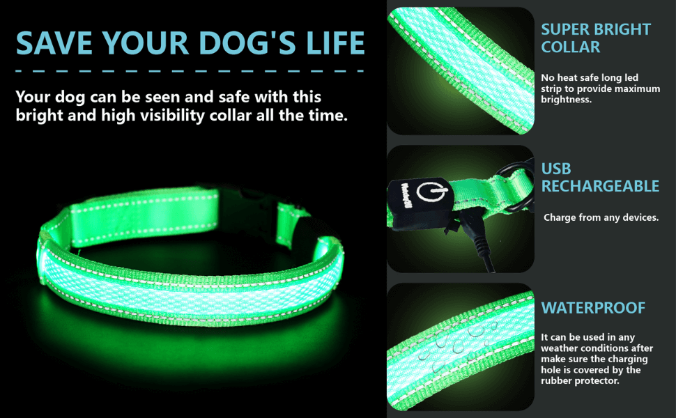 MATCHY2U LED Dog Collar USB Rechargeable Reflective Light Up Collars for Small Medium Large Dogs 