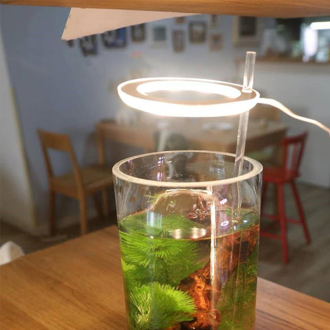 grow light plant lights for indoor plants led lamp bulbs full spectrum