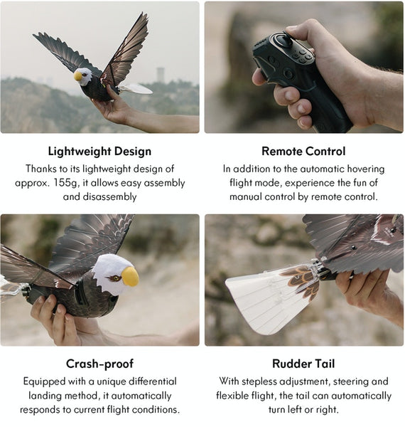 gogobird eagle