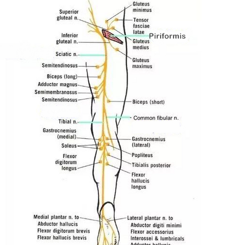 neuropathic pain