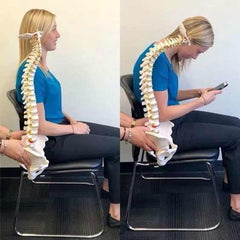 sitting posture