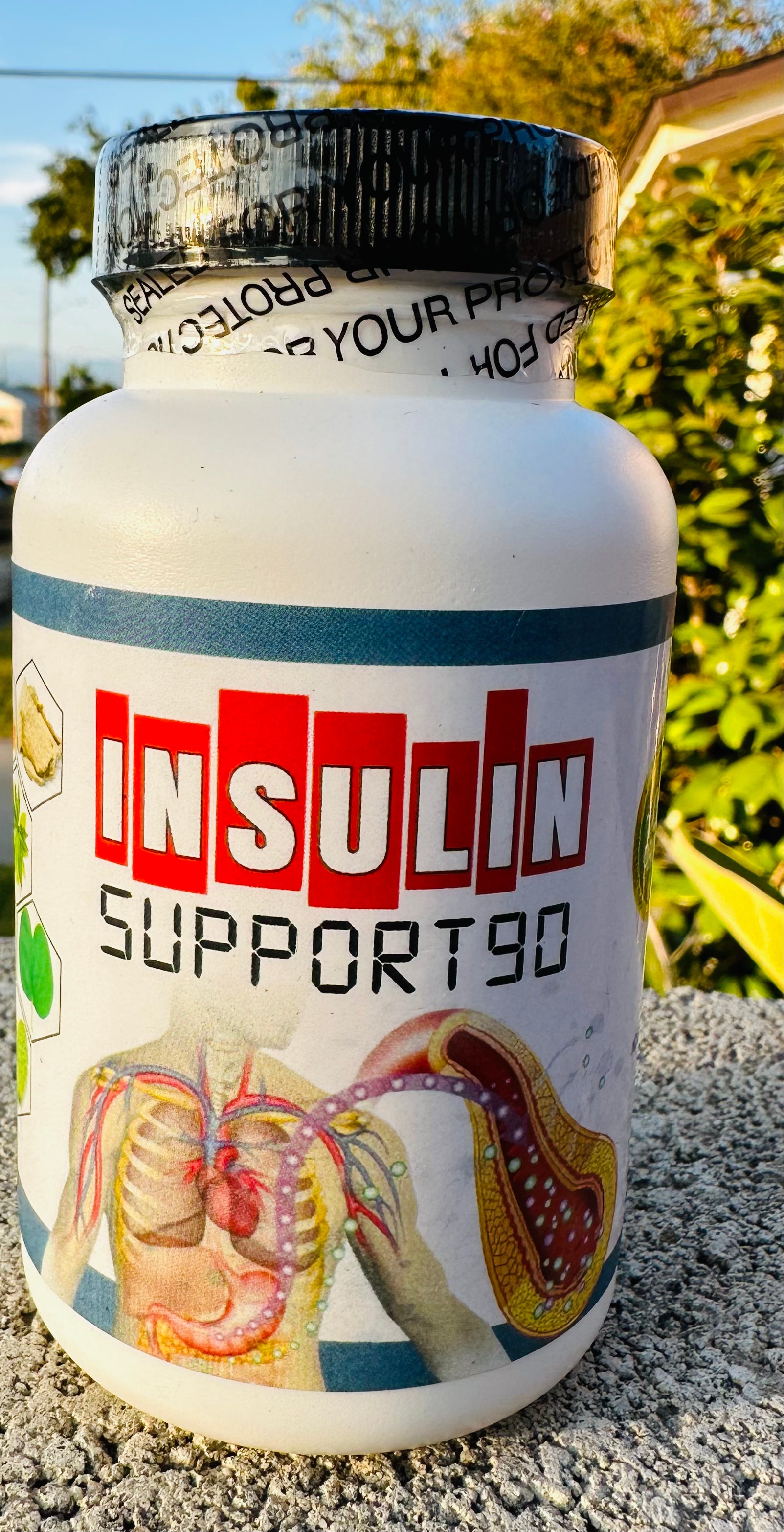 Insulin Support 90