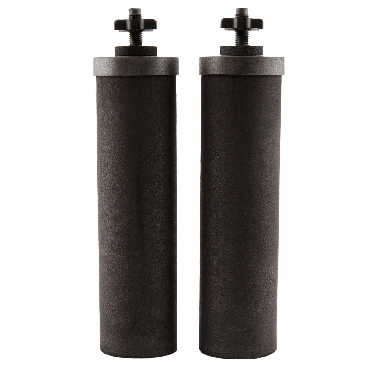 Black Berkey? Replacement Elements (Set of 2)