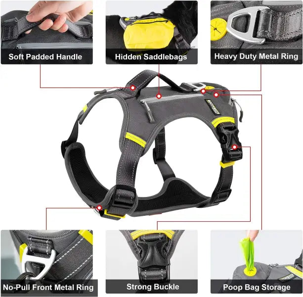 Connected Control™ Harness: no-pull dog walking harness (2-point, front-clip  in Leather or Brahma) - Bold Lead Designs