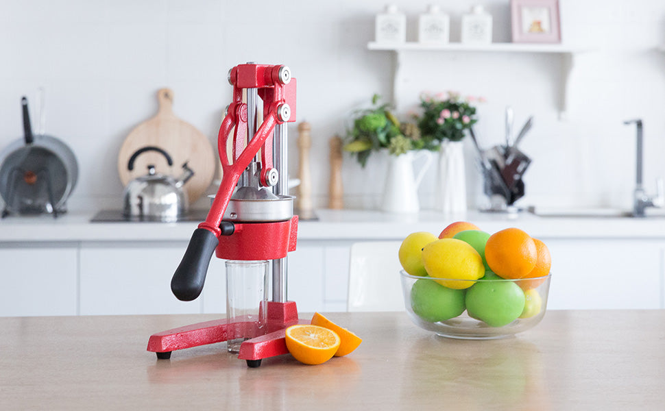 Commercial Grade Professional Juicer