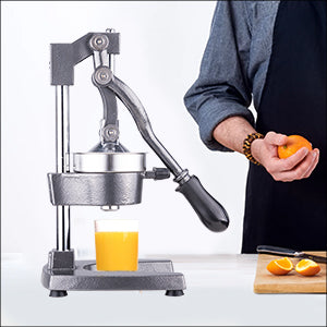 Professional Grade Commercial Juicer