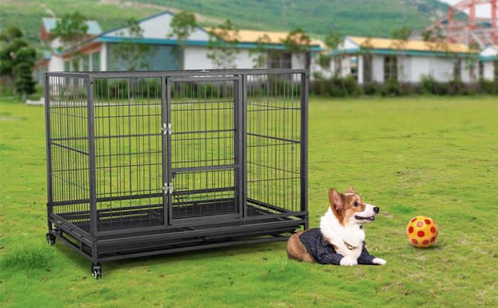 Dog Crate