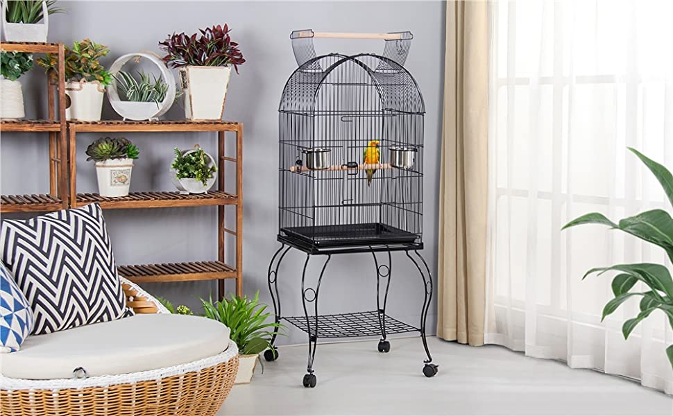 Bird Cage